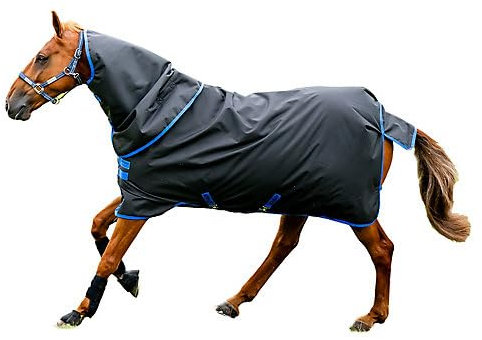 Horseware® Amigo® Ripstop 900D Plus Turnout 100g - Black/Classic Blue, 81 inches