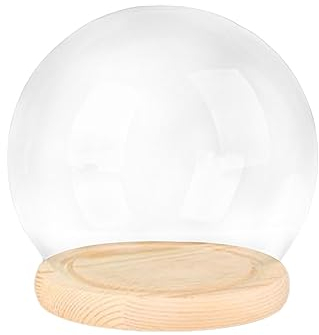 F Fityle Dôme d'affichage avec Base, dôme Cloche en Verre, vitrine de décoration de Maison de poupée, récipient de Terrarium, dôme en Verre Transparent, Socle en Bois de 15 cm