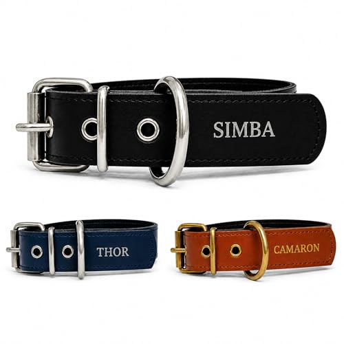 Collar para Perro de Cuero con Acolchado - Personalizable con Nombre Grabado - Hecho a Mano, Resistente y Elegante - Llavero Personalizado de Regalo (Negro, M/L: Rango de Cuello 37–47 cm)