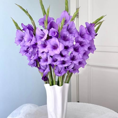 bulbi gladioli decorazione ufficio letto elevato decorazione interni decorativi riverdimento tetti giardino ufficio 4pcs