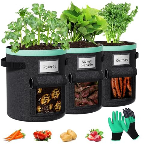 Paerduo Bolsas para plantas de patatas de 38 litros, 3 unidades: bolsas con asas y ventana para plantar patatas para plantar verduras, flores, frutas (negro, 10 galones)