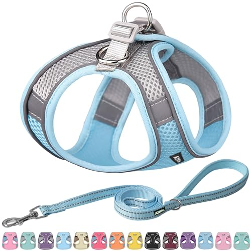 AIITLE Bequemes Hundegeschirr und Leine Set für Spaziergänge - Step in Vest Harness, Reflektierende Bänder, Einstellbare No Pull Puppy Essentials, für kleine Hunde und Hauskatzen Blau XS