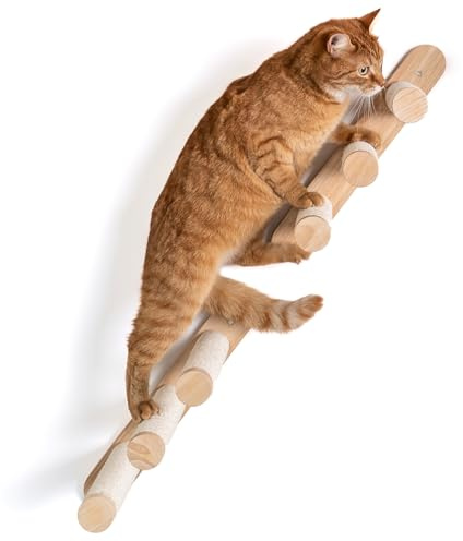RHRQuality Väggmöbel Klättringsvägg Katt - Stege Set (Beige) – Med Sisalrep – Bärkraft upp till 20 kg – För stora katter – Lämplig för Maine Coon & Ragdoll