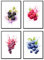 MJ-Graphics - Poster Set Früchte für Küche & Wohnzimmer - 4 Wandbilder Din A3 extra dickes Posterpapier - Obst-Motiv Bilder ohne Rahmen