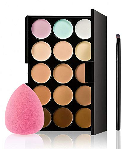 Anself 15 Colour Concealer Palette Cosmetic Make Up Brush Oval and Puff Sponge