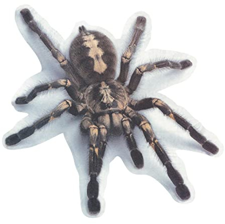 Yajimsa araña Espeluznante para Coche - Pegatinas Impermeables para Ventana Coche - Etiqueta engomada Exterior Las Etiquetas del Parachoques la Ventana del Coche para la Ventana
