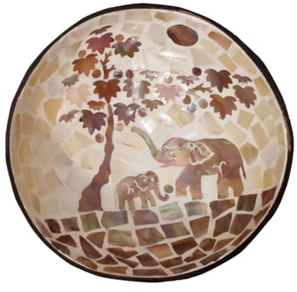 HIAKDOFT Tazón De Dulces y Nueces De Cáscara De Hecho a Mano, Tamaño Mediano, Material Ecológico Natural, Multifuncional Para Almacenamiento El Hogar, Adecuado Para Decoración y Servir Snacks