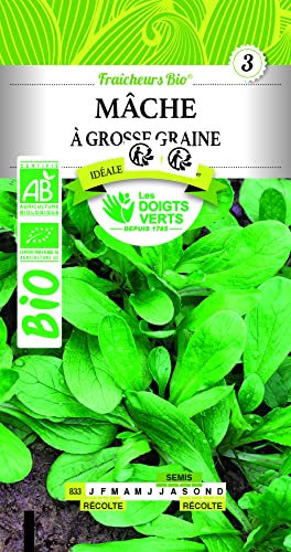 MACHE à Grosse graine Bio