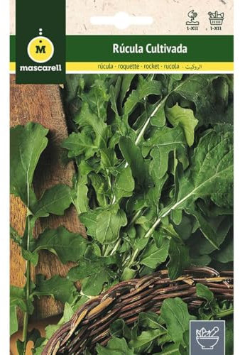 Mascarell - Roquette de culture - Graines d'herbes aromatiques à planter - Créez votre propre potager à la maison - 10 g