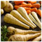 PREMIER SEEDS DIRECT Parsnip - Tender and True - 300 Seeds (Organic)