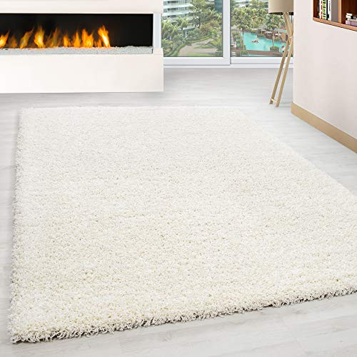 HomebyHome Alfombra Salon Peludo de Pelo Largo Crema 120x170 cm - Alfombras de Habitacion Sala de Estar Modernas Suave y Esponjoso - Alfombras Dormitorio Moqueta Cocina Rectangular