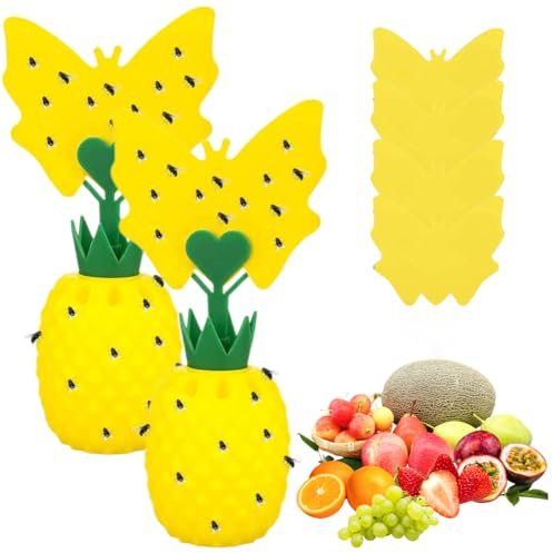 Lot de 2 pièges à mouches à fruits pour cuisine avec autocollants jaunes - Piège à mouches pour l'intérieur - Piège à mouches des fruits avec appât - Pour cuisine, salon, installation