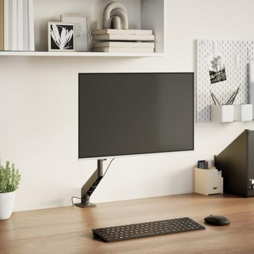 Genérico Brazo de Monitor único Pantalla máxima 27'' Resorte de Gas 10kg,Electrónica,Vídeo,Accesorios de vídeo,Accesorios y Piezas para televisores,Soportes para monitores y televisor,4012169