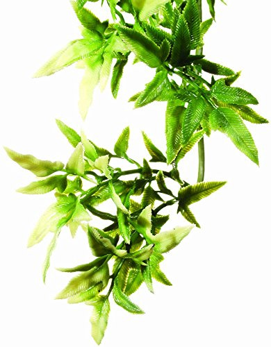 Exo Terra Croton terrarieväxt i plast storlek S