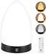 Deng Jr lampe de luminothérapie 10.000 Lux, simulation de la lumière du jour, lampe à lumière du jour avec télécommande, 3 températures de couleur, et technologie LED sans scintillement ni UV