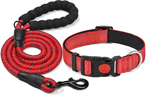 haapaw Reflekterande hundhalsband vadderat med mjuk neopren andningsbar justerbar hundhalsband i nylon för små medelstora hundar