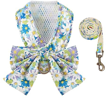 BAEJMJK Ensemble harnais et laisse avec nœud papillon anti-traction pour animal domestique avec anneau en D et anneau en D en maille douce – Harnais de princesse anti-fugue pour chiots de petite fille