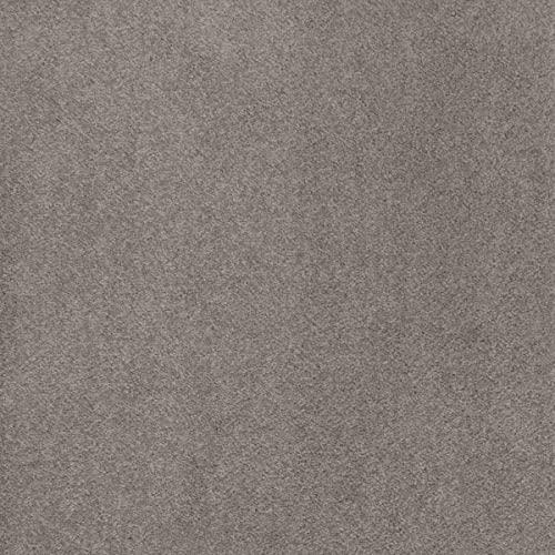BRICOFLOR Teppichboden Meterware weich in 400 und 500 cm Breite ideal für Wohnzimmer und Kinderzimmer Kräuselvelours Auslegware grau (4 m x 7 m)