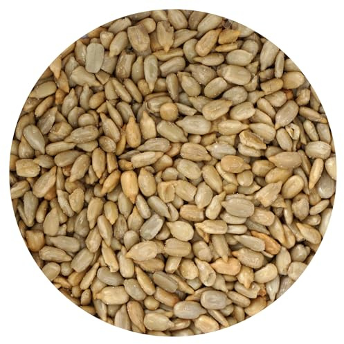 Sunflower Seeds Roasted and Salted, 1 Pound Bag, Sunflower Seeds No Shell, 16 Ounce Bulk Bag