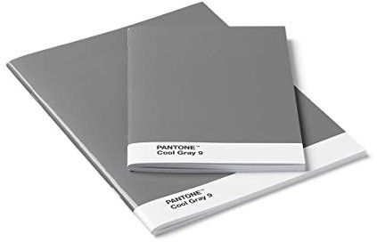 Pantone Blanko-Hefte, Booklet 2er-Set, cool gray 8