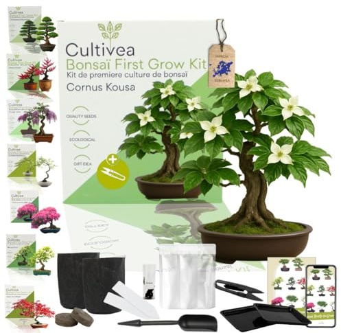CULTIVEA® Bonsai Startkit Cournus Kousa – Odla Själv med Frön & Tillbehör – Presentidé Trädgård | Tillverkad i Frankrike