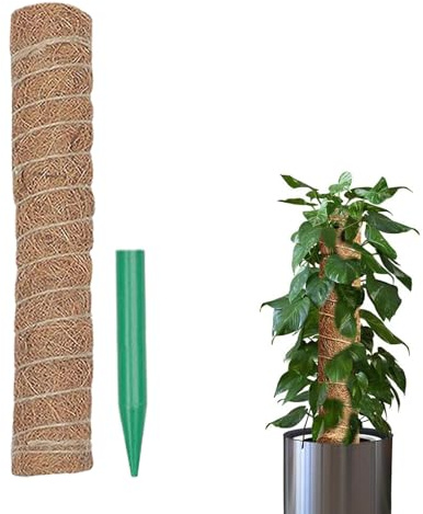 Barra de musgo – Entrenamiento eficaz de plantas, plantas trepadoras, soporte flexible de fibra de coco | Monstera, filodendro, ayuda para el crecimiento de pothos con bridas y cinta para plantas