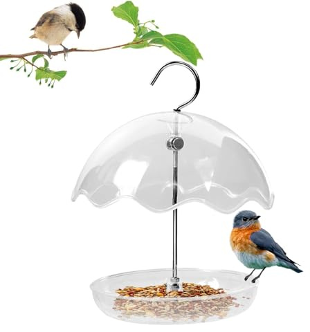Mangiatoia per uccelli - Stazione per uccelli all'aperto | Stazione di alimentazione trasparente per uccelli passato, contenitore per uccelli, vassoio di sospensione aperto per alberi balcone
