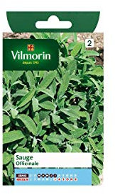 Vilmorin - Sachet graines Sauge officinale