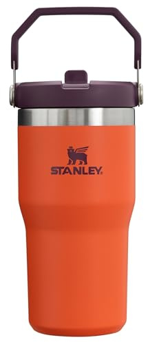 STANLEY IceFlow Flip Straw Tumbler with Handle 20 oz | Twist On Lid and Flip Up Straw | Leak Resistant Water Bottle | Insulated Stainless Steel |BPA-Free | Tigerlily Plum
