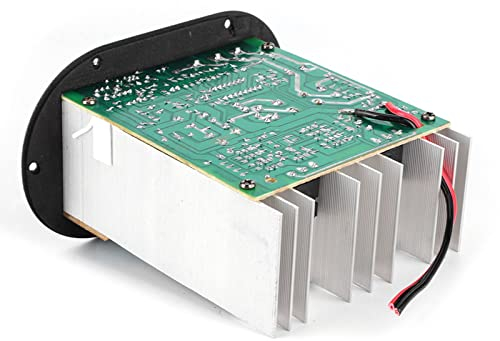 aqxreight Amplificatore Audio per Auto Scheda AMP per Subwoofer Ad Alta Potenza da 120 W per Altoparlante Stereo Automatico 12 V per Bassi Puri
