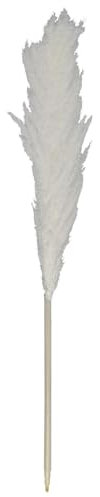 Getrocknete Pampasgräser XXL - ø 10 x 120 cm - Trockenblumenstrauß - Palmgrasfeder - Trockenblume - Dekorationspflanzen - Hochzeitsdekoration - Verzierung - Weiß