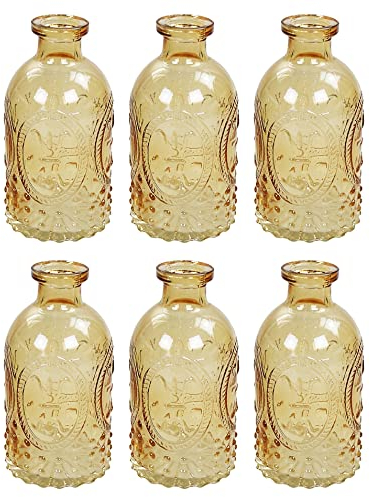Bottiglia Decorativa Flacone Di Vetro 6 Pezzi Barattolo-sughero Vasetti Di Cork Decorazione Farmacia Bottiglia Bottiglia Liquore Vetro Da Farmacia Vintage Bicchieri - variopinto, 5 pezzi