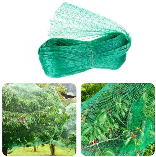 Filet Anti Oiseaux Vert 4 * 10m pour Protection des Plantes, Jardin, Piscine - Ténacité Nouvelle Matière Anti-âge - Protéger Les Fruits et Les Fleurs