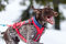 Non-Stop dogwear Combined Harness (Hunde-Zuggeschirr) | geeignet für Skijöring und Pulka (7)
