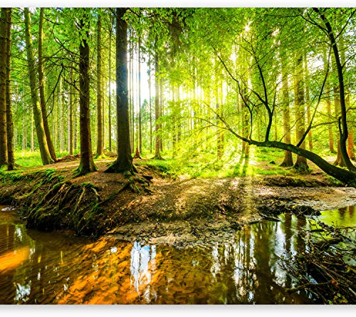murando Fotomurales 400x280 cm XXL Papel pintado tejido no tejido Decoración de Pared decorativos Murales moderna de Diseno Fotográfico Bosque Naturaleza c-B-0241-a-a #01