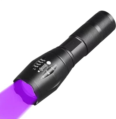 Luz de linterna UV, Linterna ultravioleta | Linterna LED UV Linterna violeta con luz blanca - Detector de luz negra de mano, potente antorcha para dinero