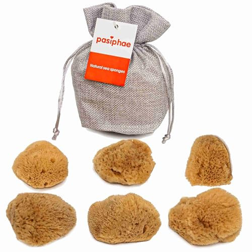 Lot de 6 éponges de mer intimes de relaxation 100 % naturelles non blanchies comme alternative naturelle au tampon – Réutilisables et durables (3 pièces de 3 à 5 cm et 3 pièces de 5 à 7 cm)