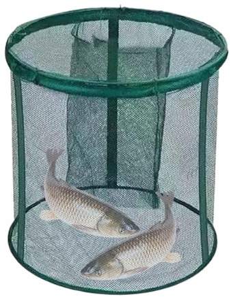 Djowyh Panier à poisson pliable - Piège pliable pour le stockage des poissons vivants - Cage portable pour filet de pêche et rangement d'appâts - Pour basse, truite, poisson-chat, eau salée, eau douce
