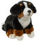 Teddys Rothenburg Kuscheltier Berner Sennenhund Welpe sitzend 25 cm Hunde Plüschhund