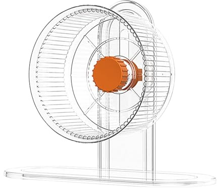 Roue de rats, roue silencieuse pour hamster | d'exercice pour cochons d'Inde, cochons d'Inde, Sugar Gliders, Gerbilles