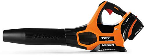 NOALED Souffleurs Souffleur de Feuilles sans Fil, aspirateur/balayeuse à Main 2 en 1, Vitesse Variable, Batterie et Chargeur Li-ION, pour souffler Les Feuilles/Neige, épousseter