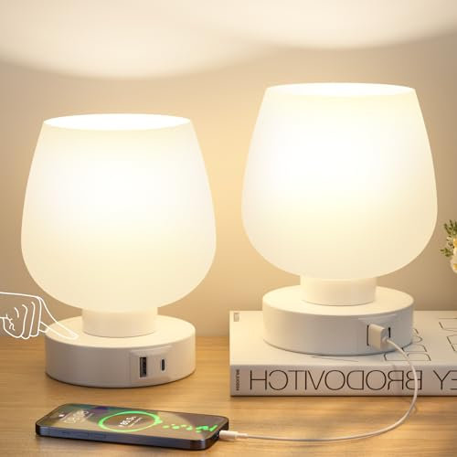 Kakanuo Nachttischlampe Touch Dimmbar 2er Set, Tischlampe mit USB A+C Anschlüsse LED Birne, 3-fach Dimmbar, Kleine Glas Lampe für Nachttisch Schlafzimmer Wohnzimmer Babyzimmer