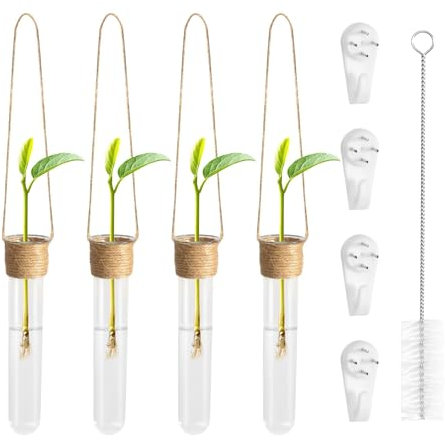 Reagenzglas Vase 4 Stück Pflanzen Terrarium Vasen, Wanddeko Vasen Reagenzgläser für Blumen Hängend Propagation Station Wandvase Kleine Glasvasen, Reagenzgläser Blumenvase für Büro Wohnzimmer Küche
