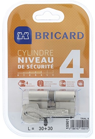 Bricard 15901 Cylindre Trial S 30+30 Nickelé double entrée/niveau de sécurité 4