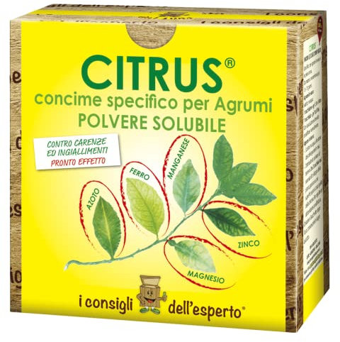 I Consigli dell’Esperto - Citrus Concime Per Agrumi 900gr – Concime Minerale Idrosolubile Per Piante di Limoni e Arance - Aiuta lo Sviluppo Della Pianta e Migliora Il Gusto Dei Frutti