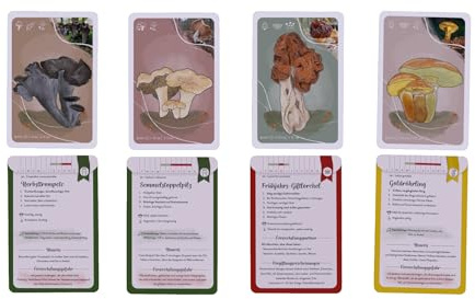 Wild PILZ LERNKARTEN Set für Anfänger - Pilze bestimmen lernen, Pilze sammeln lernen, Pilzsammler, Naturliebhaber, Geschenk für Pilzsammler & Naturliebhaber, Pilzbuch, Kinder
