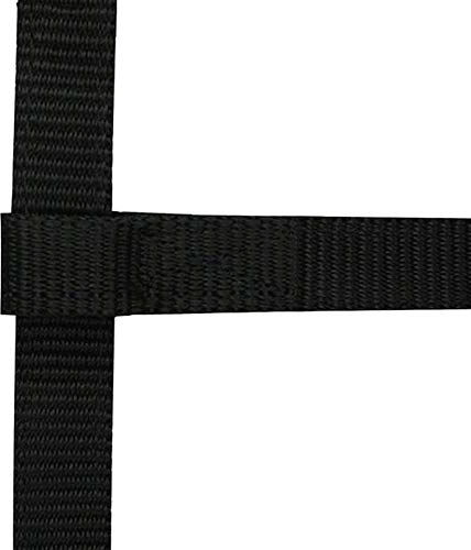 Mini Fohlen Halfter Ekkia schwarz