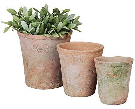 Home Deco London Aged Round Terracotta Plant Pots Set of rustic planters suitable for outdoors ideal for herbs