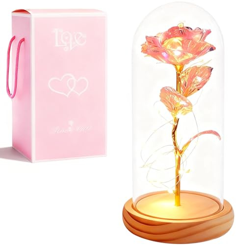 XVZ La Bella e la Bestia Rosa Eterna – Regalo di Fiori per Donne, Rosa Sotto Cupola di Vetro con LED e Supporto in Legno per Madre, Moglie o Amica per Natale, San Valentino - Polvere Colorata