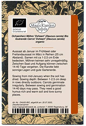 Carotte Guérande 'Oxheart' (Daucus carota) bio env. 500 semences